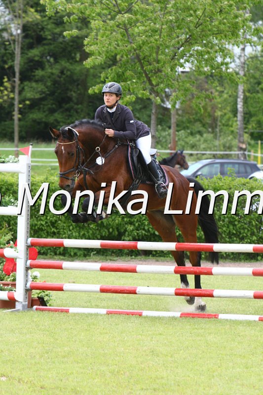 204M0687_Look at me_Spr_Pferde_A.JPG